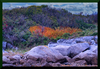Cascade of Fire for Susie for web DSC_1927