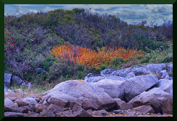Cascade of Fire for Susie for web DSC_1927