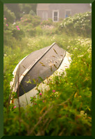 Sleeping DSC_0072