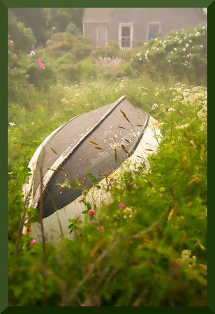 Sleeping DSC_0072