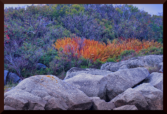 Fire Trail for web DSC_1924