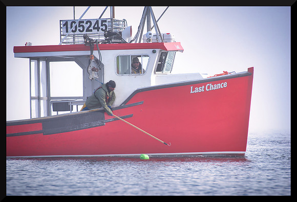 Hooking On DSC_6413