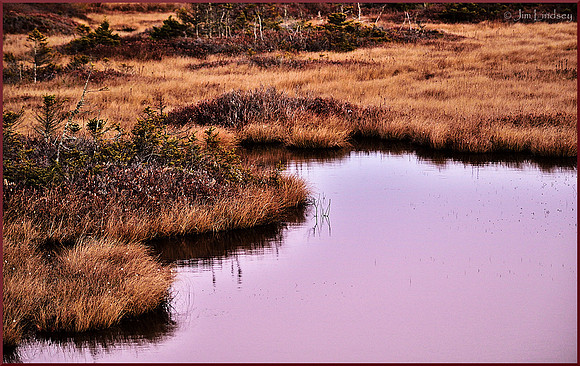 Marshland w border DSC_0892