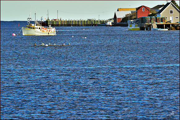 East Dover from Across the Water DSC_0291
