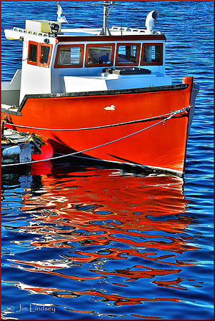 Golden Duck w border DSC_0301