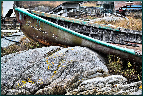 Freedom 55 colour  w border DSC_0583