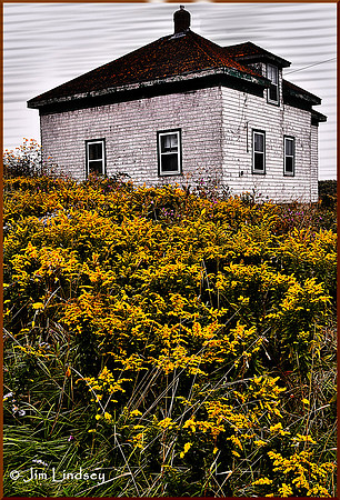 Old House and Wildflowers w border DSC_0088
