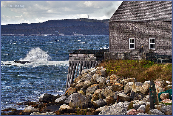 Windy Day Along the Bay w border DSC_0370