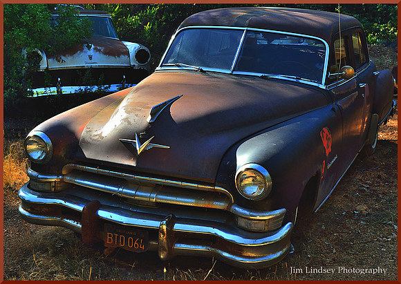 Cars in the Woods 14 w border DSC_0744