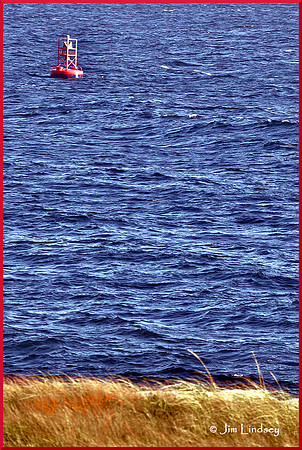 buoy w border DSC_0020