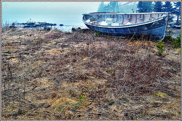 The Boat and the Bird in the Thaw in the Winter w border DSC_1001