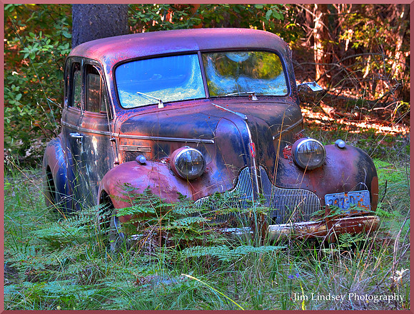 Cars in the Woods 3 w border DSC_0739