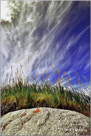 Triptych 1 w border DSC_0215