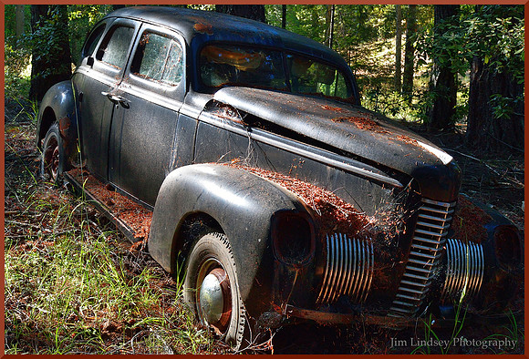 Cars in the Woods 13 w border DSC_0744