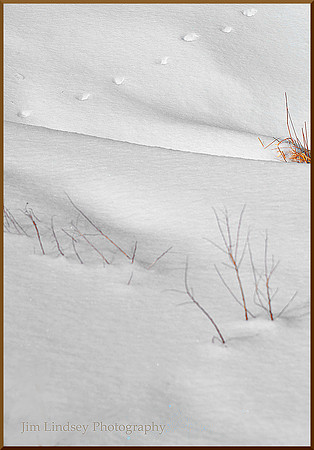 Something Gentle That Way Went with border