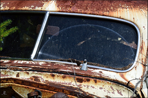 Moth Behind the Windshield w sig DSC_0002