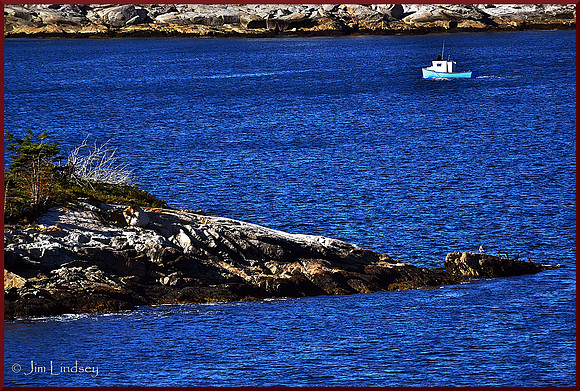 Cape Islander in Shad Bay