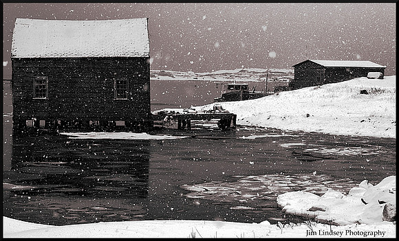 February Flurry in the Cove with border