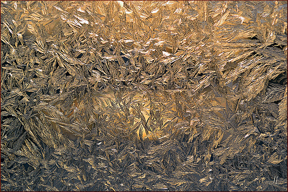 Frost on Glass Study 3 w border DSC_0656
