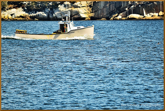 Setting Traps w border DSC_0746