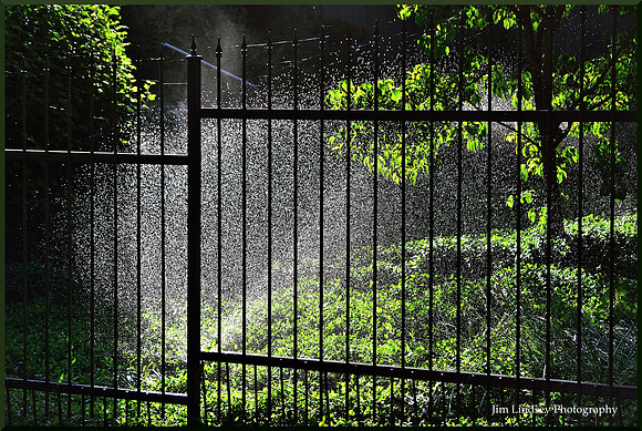 Garden Watering w border DSC_0730