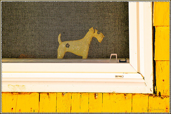 Doggy in the Window w border DSC_0926