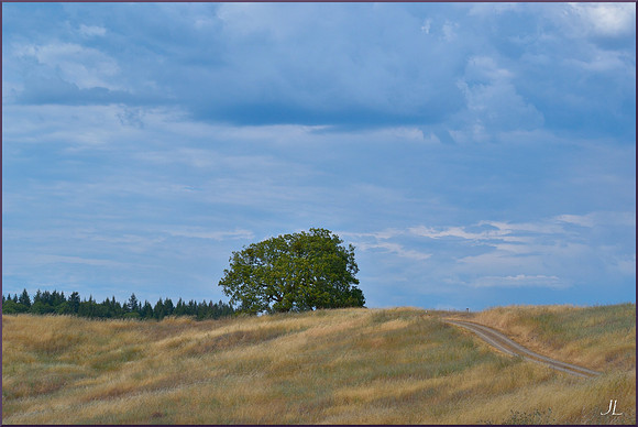 Ridge Road w sig DSC_0148