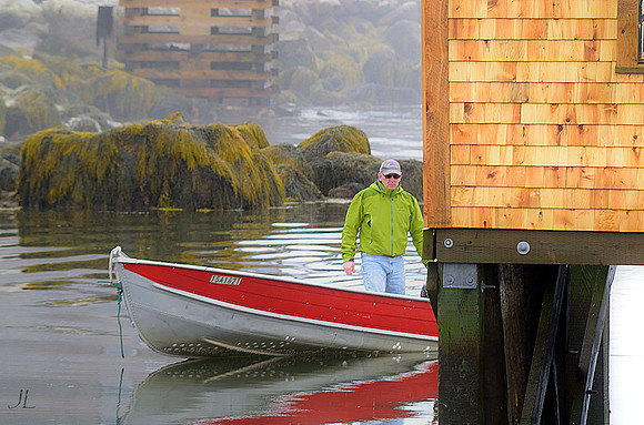 In from the Fog DSC_0755