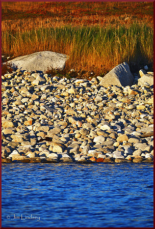 Where the Tall Grass Comes Down to the Sea w border DSC_0343