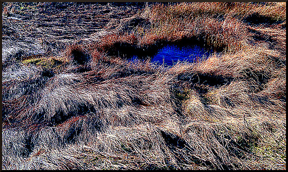 Heart-shaped tidal pond in winter with border