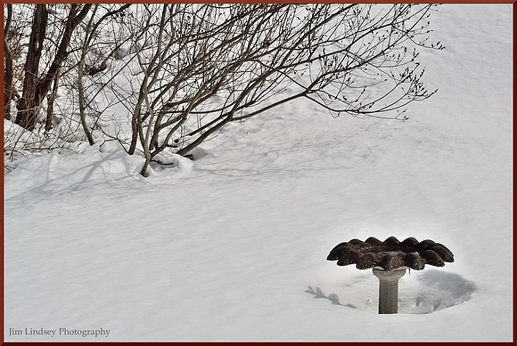 For the Birds w border DSC_0636