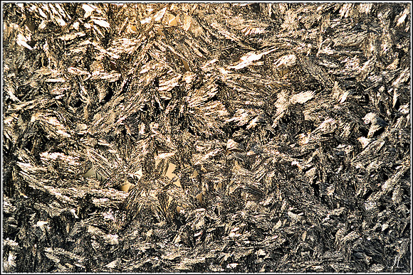 Frost on Glass Study 2 w border DSC_0654