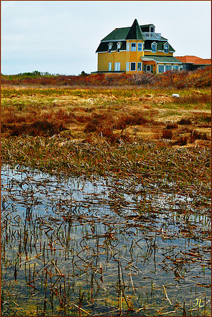 The B&B Behind the Salt Marsh DSC_0077
