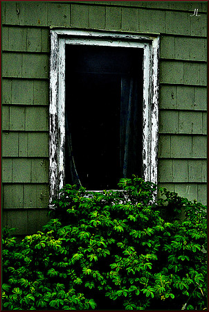 The Stuff You Love w sig DSC_0931
