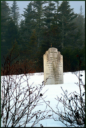 My World Once I Thought w border DSC_0023
