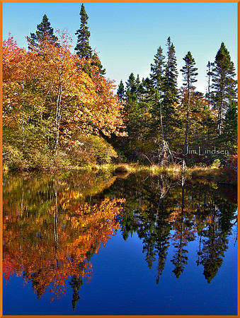 Fall Colours Near McGrath's Cove w border DSC_0283