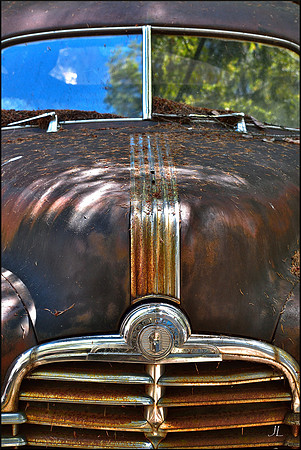 Wild Thing in my Mind's Eye w sig DSC_1023