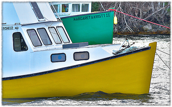 The Yellow and the Green w border DSC_0436