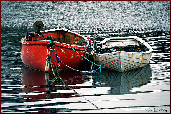 Still Together w border DSC_0561