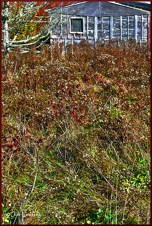Shed w border DSC_0592