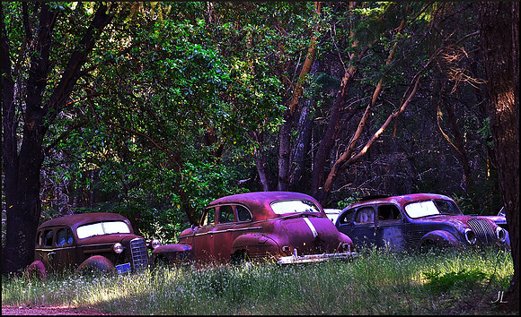 Cars in the Woods 27 w sig DSC_0744