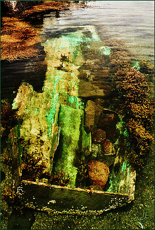 Scuttled DSC_0080