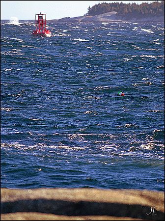 Lonely Lobster Buoy w sig