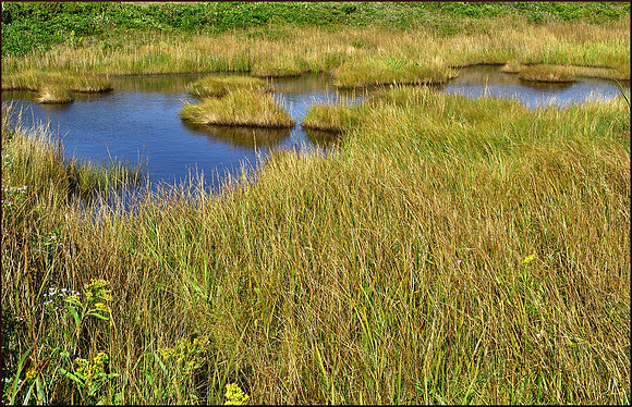 Bog w sig DSC_0180