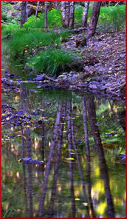 Reflection w border DSC_0855