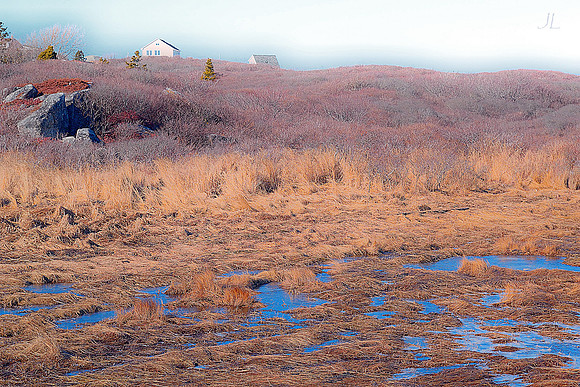 Houses Above the Marsh DSC_0662
