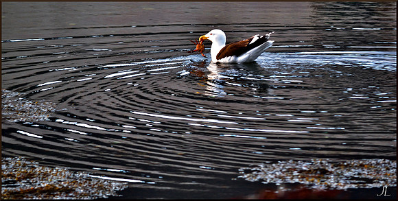 What Became Breakfast DSC_0999