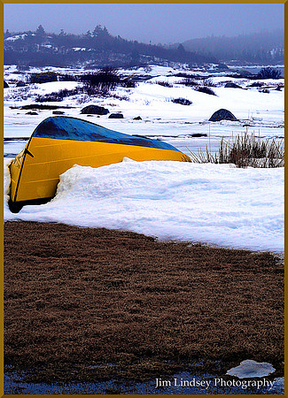 The Color w border DSC_0051