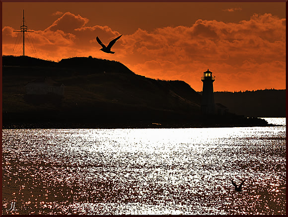 Morning on George's Island w sig DSC_3488