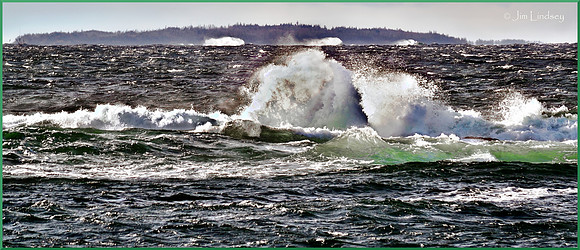 Lively w border DSC_0402